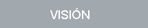 vision